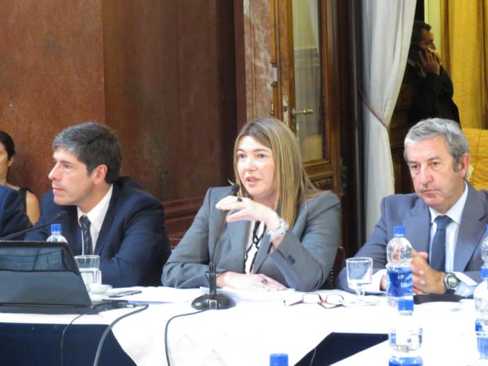 Rosaba Bertone apoyando el proyecto de macri en el congreso.