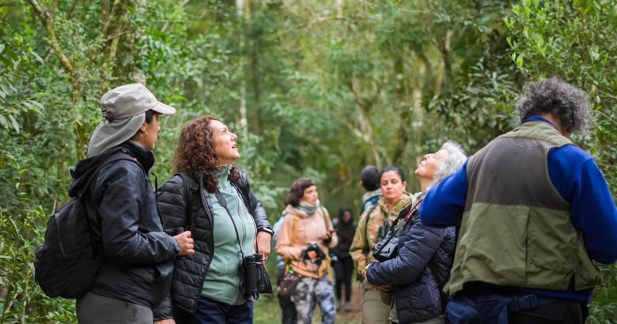 portada_polosur