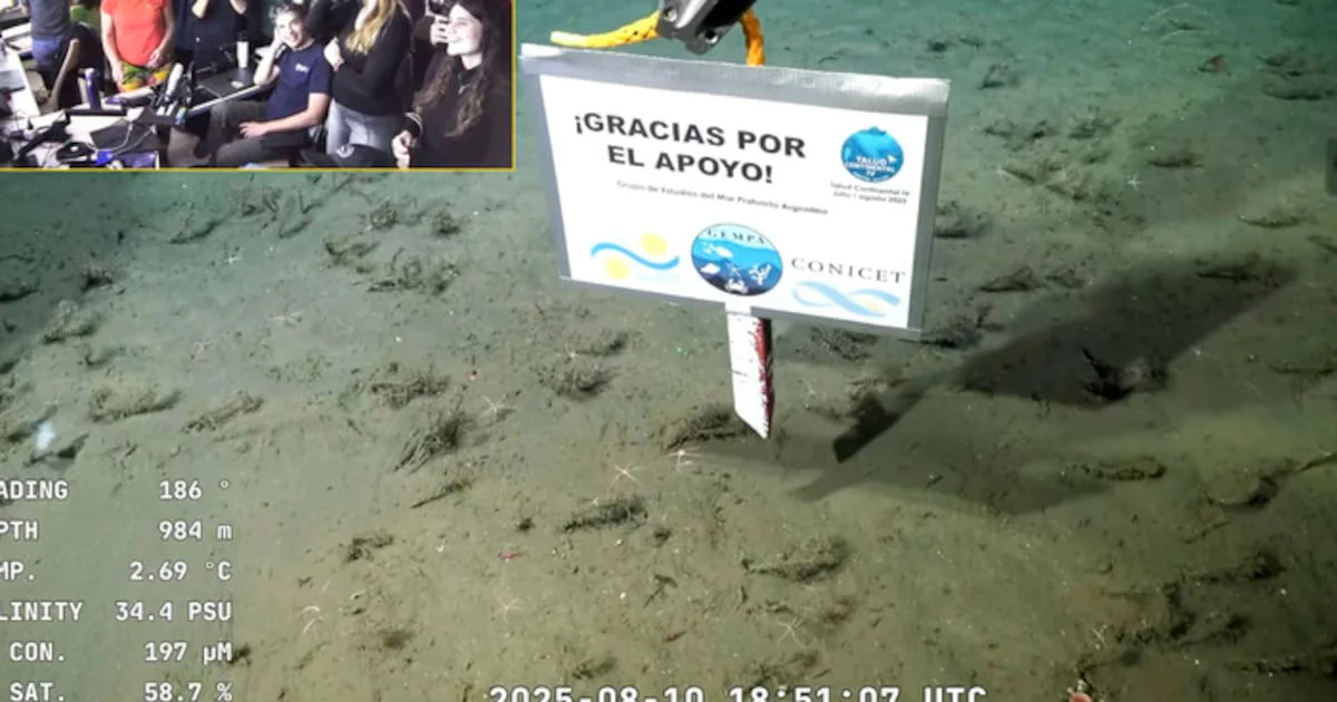 portada_polosur