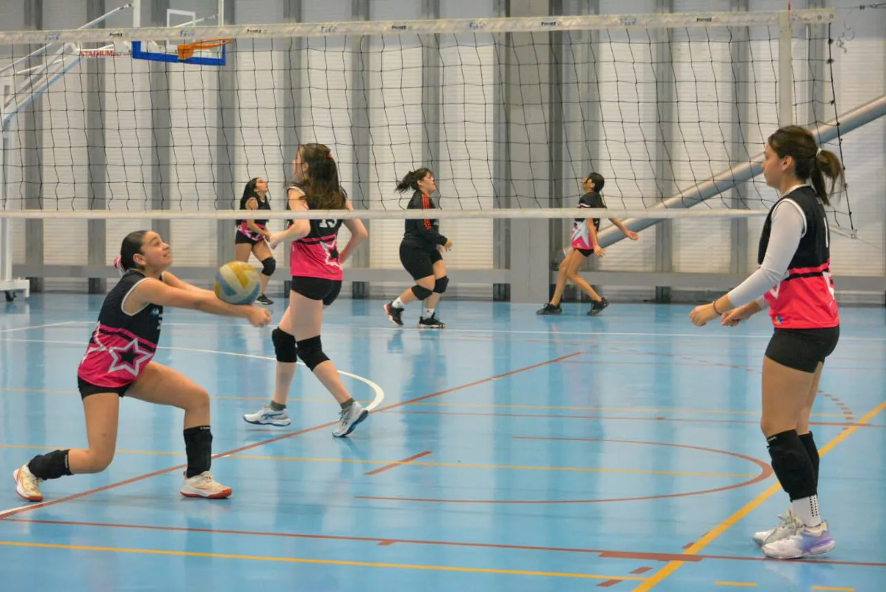 IMG_20250612_101452_761