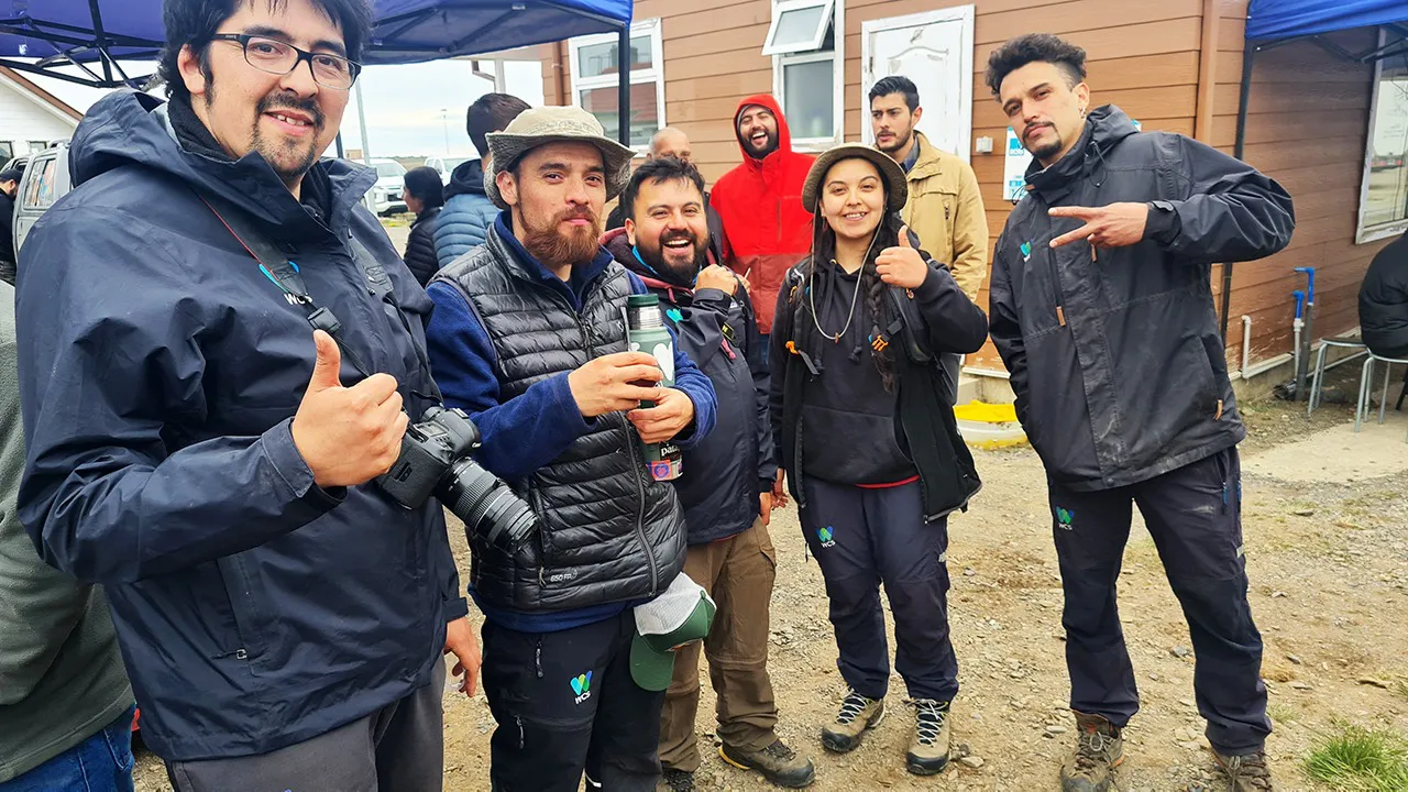 visitantes pampa guanaco