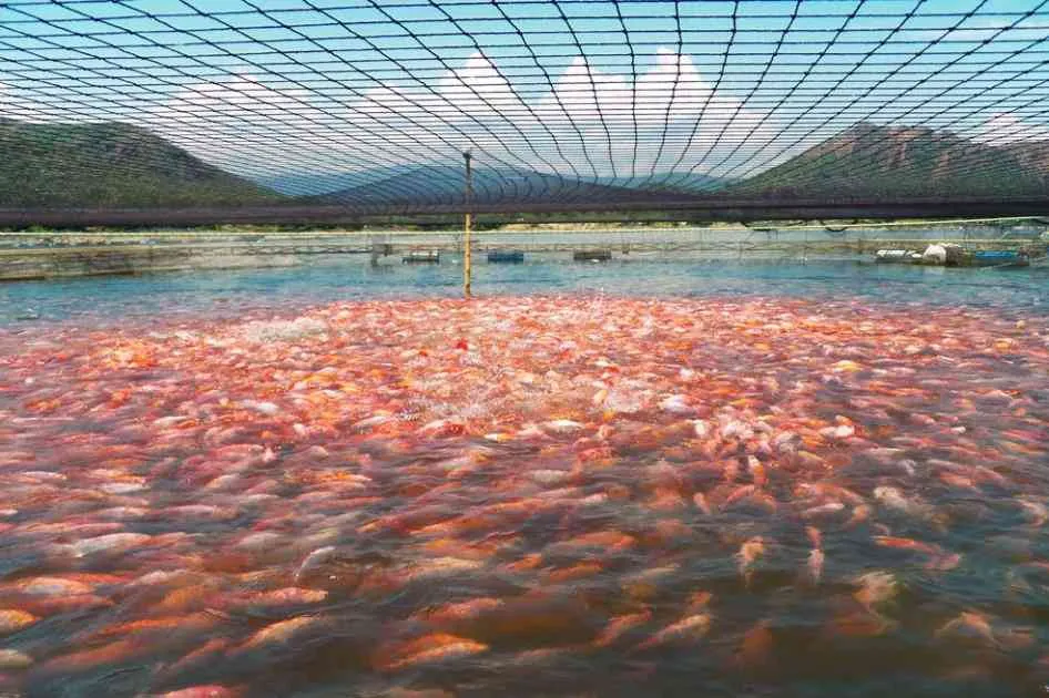 Imagen de WhatsApp 2025-08-13 a las 14.39.35_ccdb2966