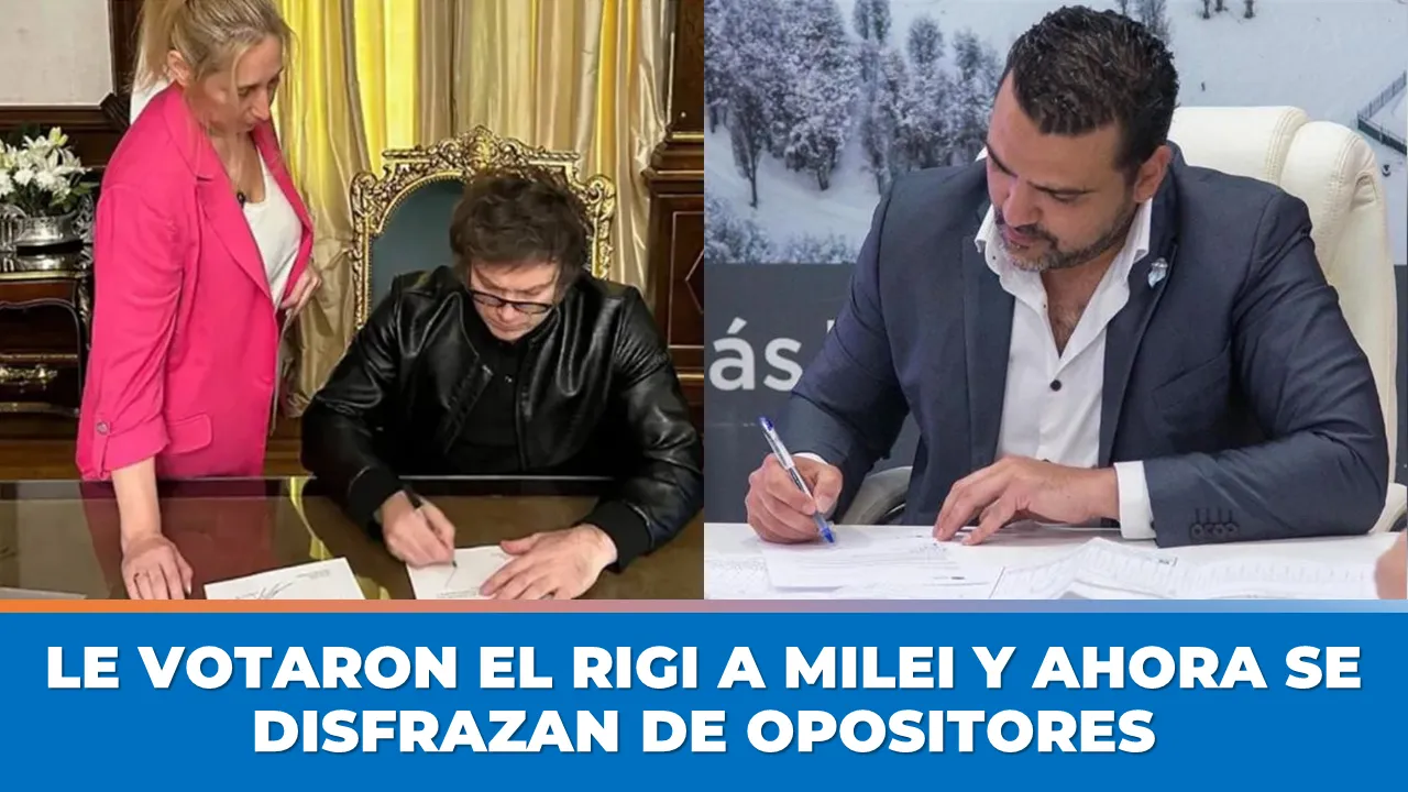 votaron rigi a milei vuoto