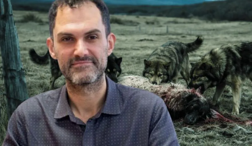 devita perros asilvertrados