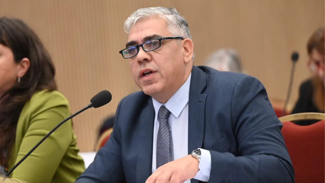 alejandro deanes parlasur mpf movimiento popular fueguino