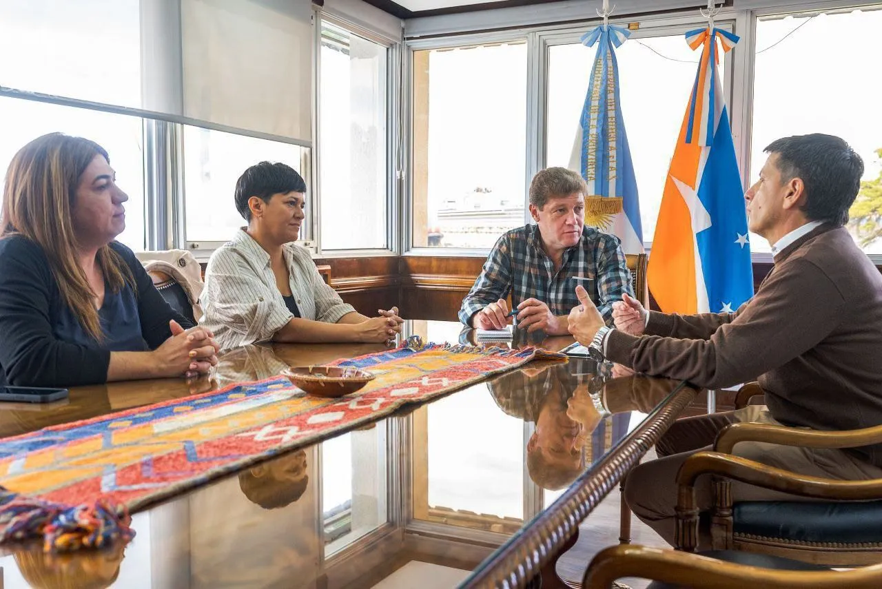 melella cubino telecom innovacion de carton tierra del fuego