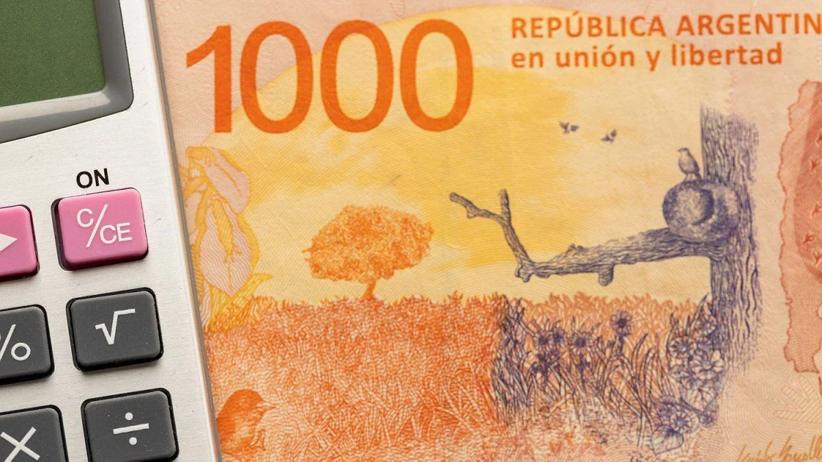 portada_polosur