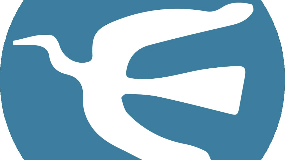 portada_polosur